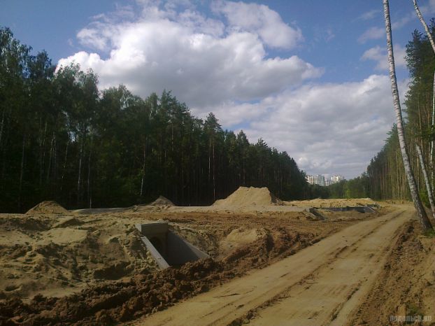 В сторону улицы Кирова. 2 августа 2015 г.
