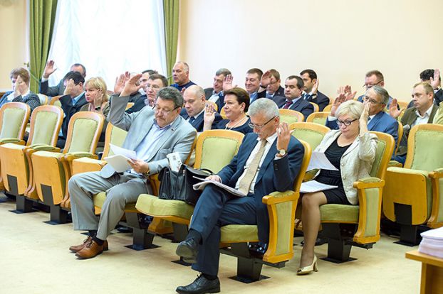 Утвержден проект Устава Большого Подольска