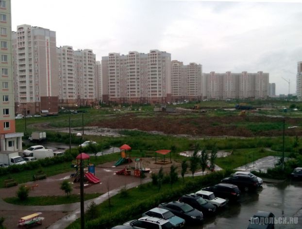 Кузнечики