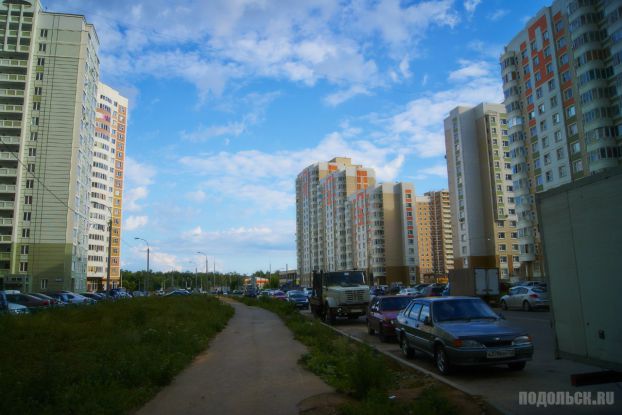 Кузнечики