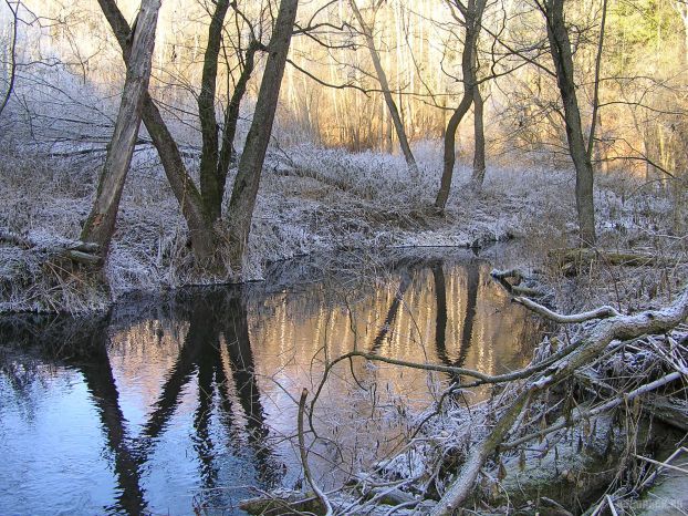 Река Петрица