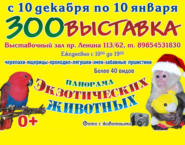Афиша