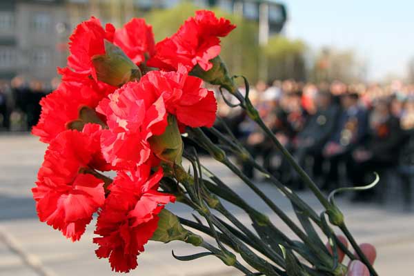 Выставка в рамках проекта «Эхо бессмертия» откроется в ДК «Десна»