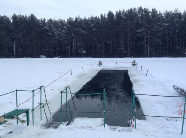 второй официальный чемпионат Московской области по зимнему плаванию.