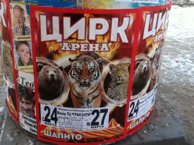 Афиша