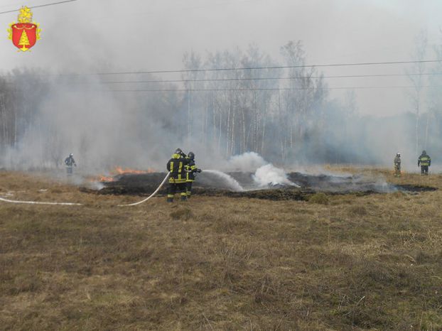 Пожарная тренировка прошла во Львовском участковом лесничестве