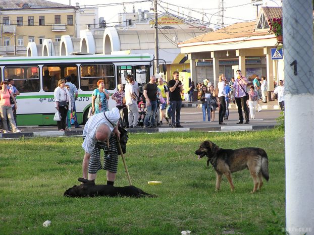 Подольск