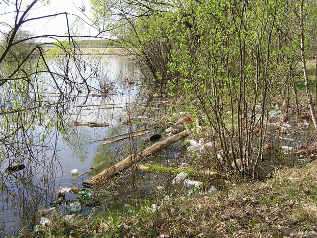 Водоем в Сергеевке