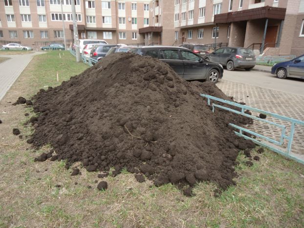 Обещание о привозе грунта для посадки цветов и деревьев выполнено