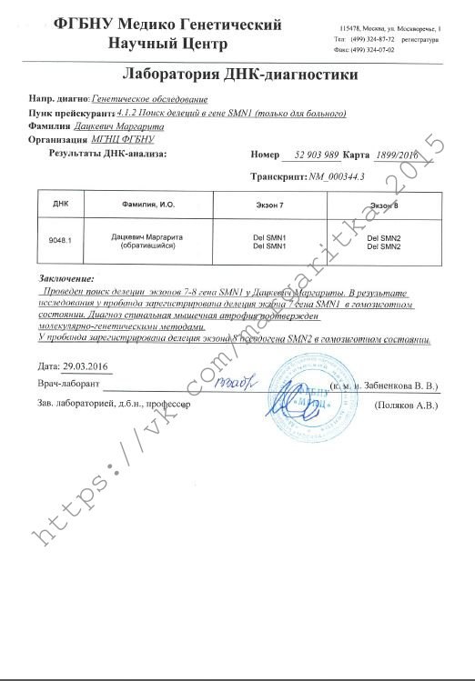Документ