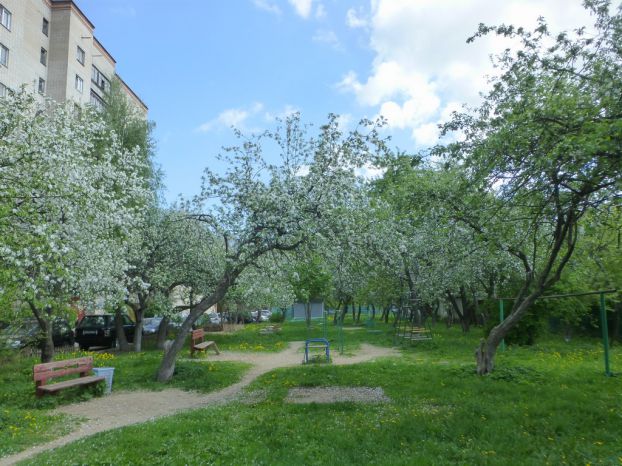 Ул. Ватутина, д. 79