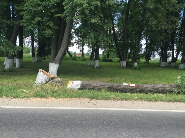 Спилили
