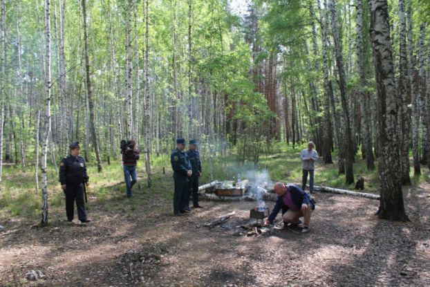 Лесные патрули в Подольске будут по выходным выявлять костры и мангалы