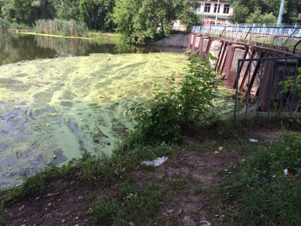Молодежный экопатруль проверил места отдыха на Десне