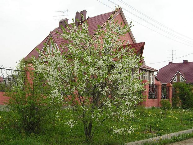 Рязановское