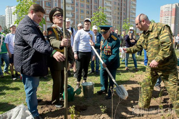 Акция по посадке деревьев