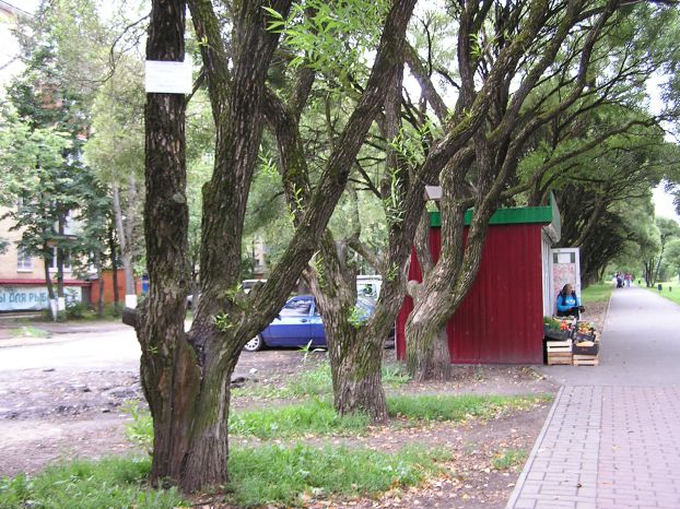 Раскрыта кража из торговой палатки