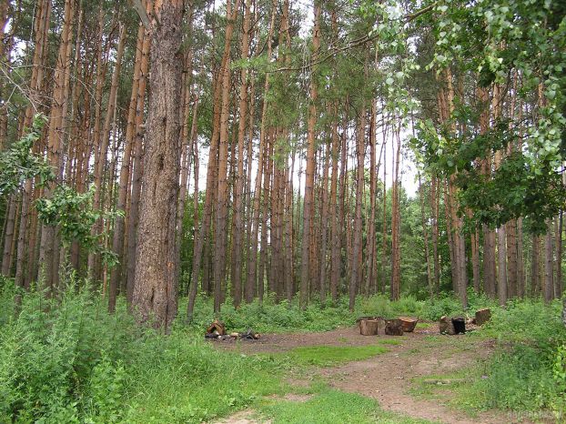 Парк 