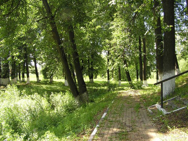 Парк в Сынкове