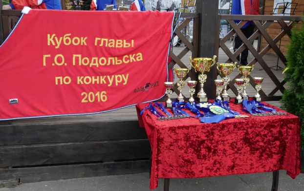 Кубок главы Подольска по конкуру 