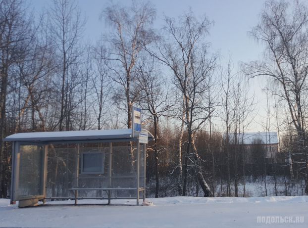 Остановка в Новой Москве