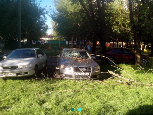 Стихийная парковка на газоне в центре города