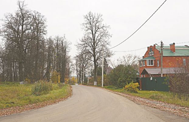 Nikulino