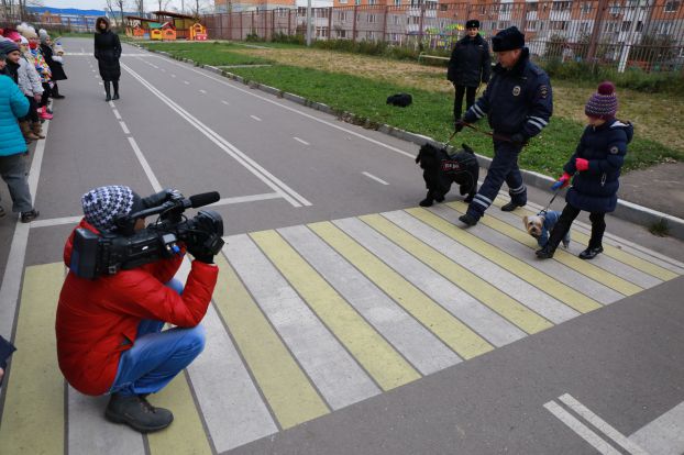 Урок безопасности в школе провели с помощью полицейских собак