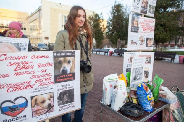 В Подольске прошел митинг против издевательств над животными