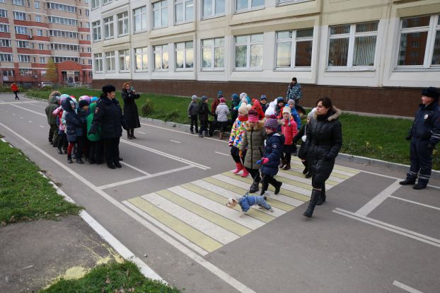 Урок безопасности в школе провели с помощью полицейских собак