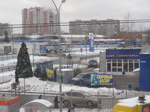 Елочный базар на Кутузовской