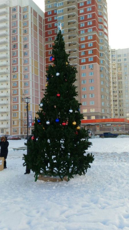Наряженную детьми елку обобрали