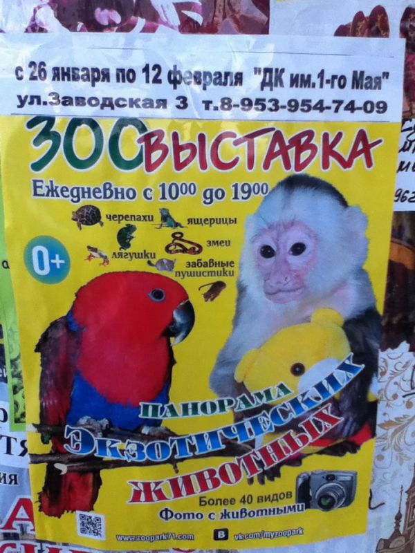 Афиша