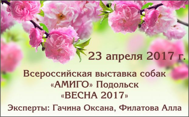 7a9e38057754