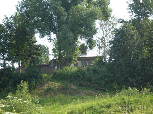 2008 год
