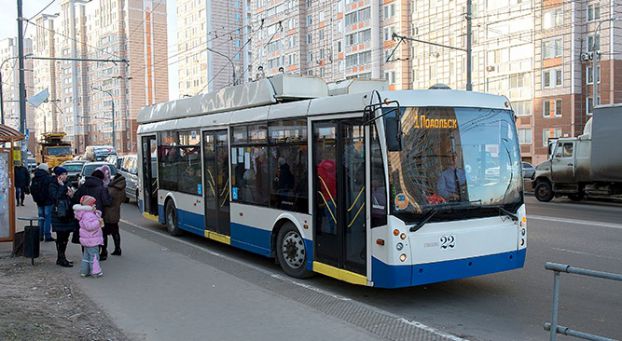 Кузнечики
