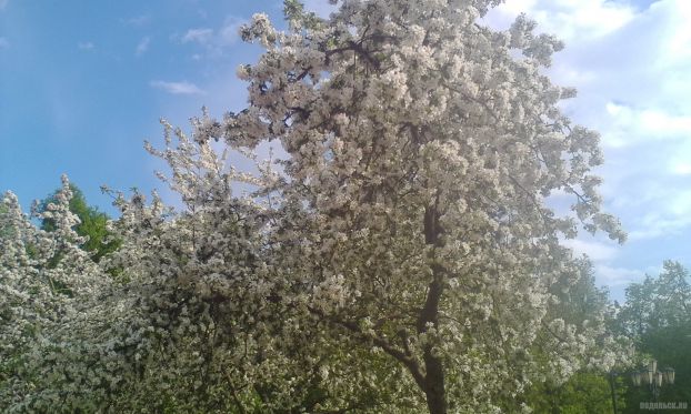 Подольск