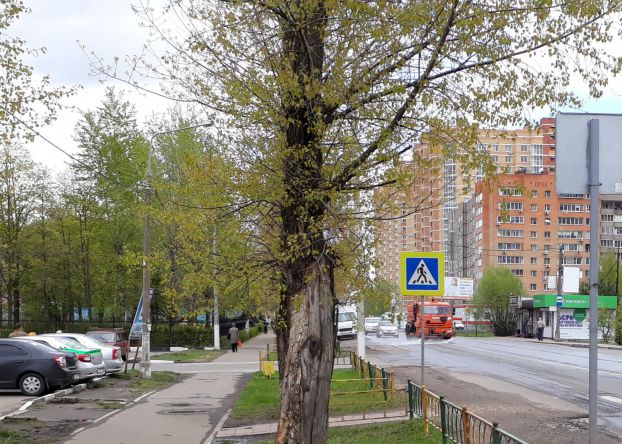 Непогода не повлияла на уборку улиц в Рязановском