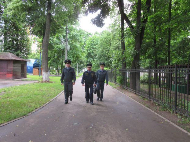 Инспекторы