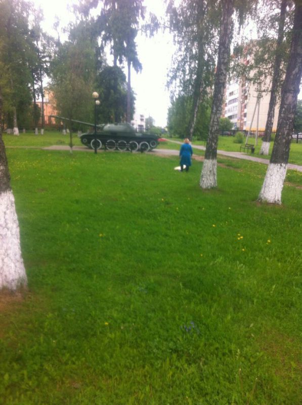 Кузнечики