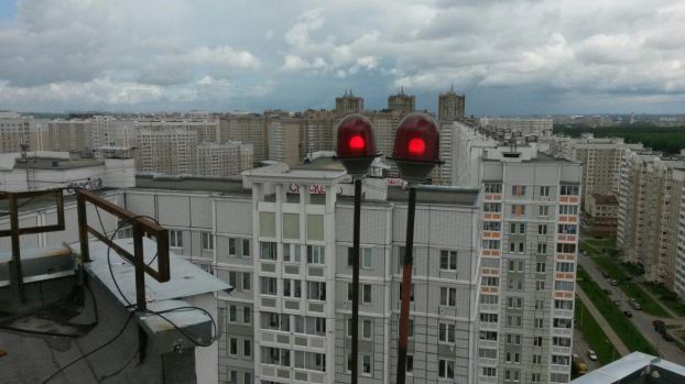 Кузнечики