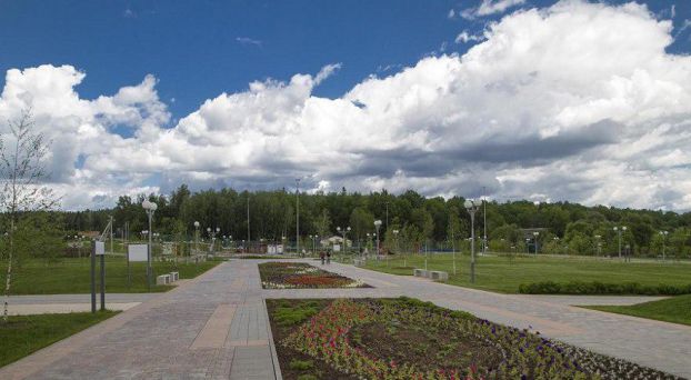 ромашковое поле в подольске. Смотреть фото ромашковое поле в подольске. Смотреть картинку ромашковое поле в подольске. Картинка про ромашковое поле в подольске. Фото ромашковое поле в подольске