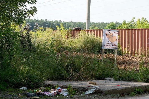 #свиньЯ