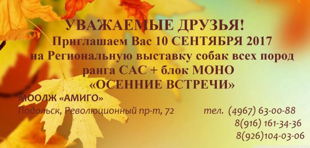 Всепородная выставка собак "Осенние встречи"