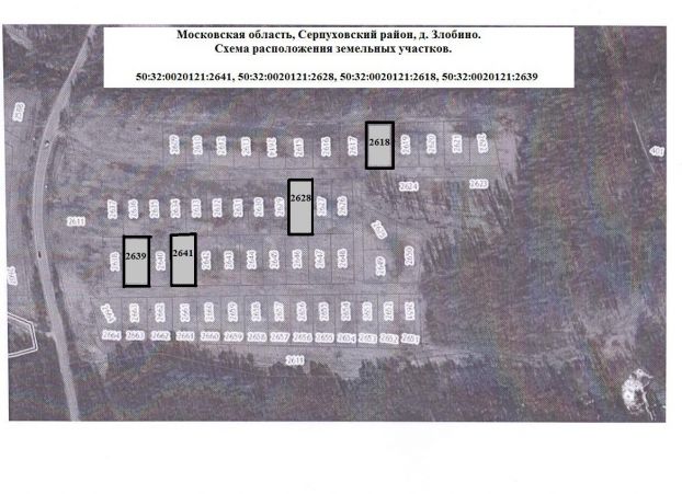 Serpuhov-shestaya-8-ga-zherebevka-malenkij