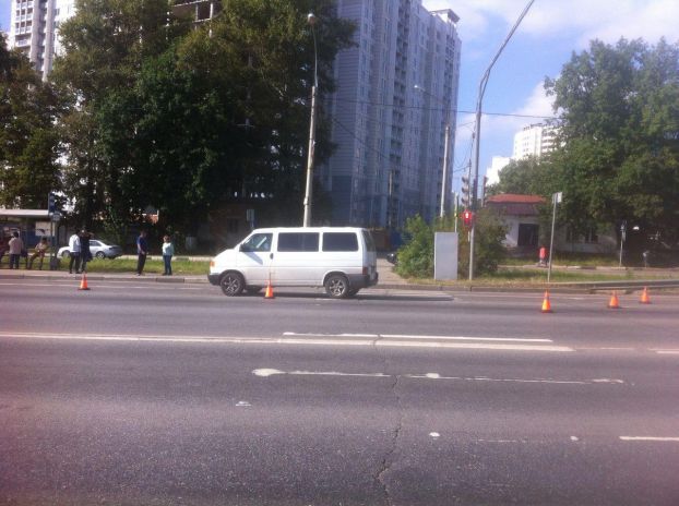Кузнечики