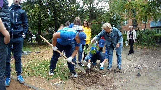 «Наш лес. Посади свое дерево»