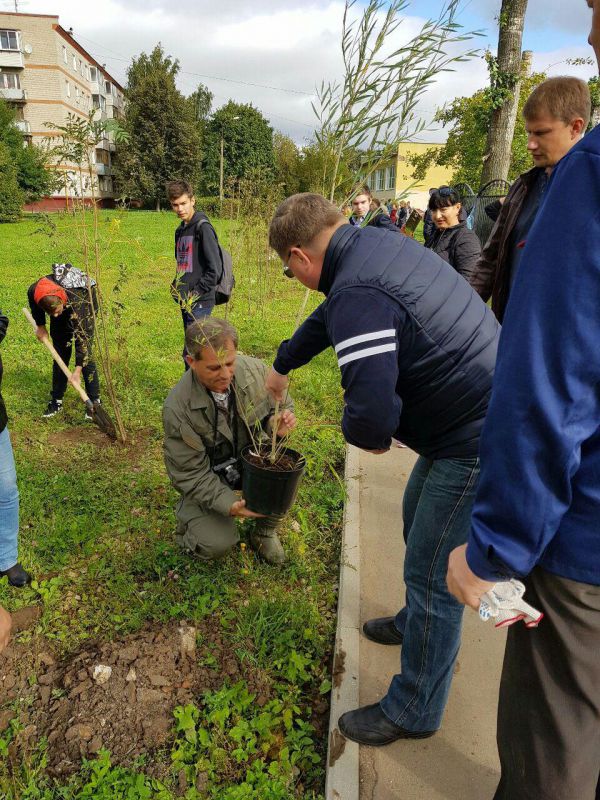 «Наш лес. Посади свое дерево»