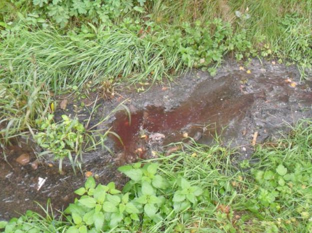 За загрязнение рек Подольска оштрафовали МУП «Водоканал»