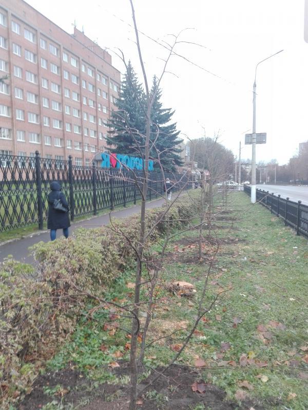 "Я люблю Подольск"